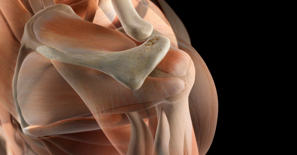 The Fundamental Concepts in Musculoskeletal Ultrasound